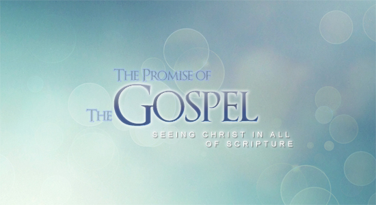 The Promise of the Gospel